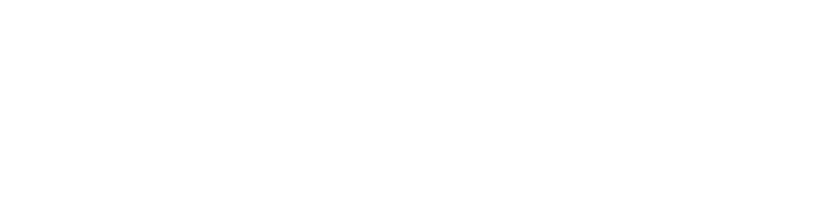 Swan Effect Logo - Horizontal White